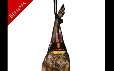 Disegnare un prosciutto iberico Bellota – Dicembre 2013