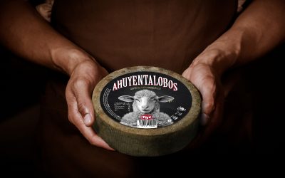 Formaggio Ahuyentalobos: il formaggio più duro della valle del roncal