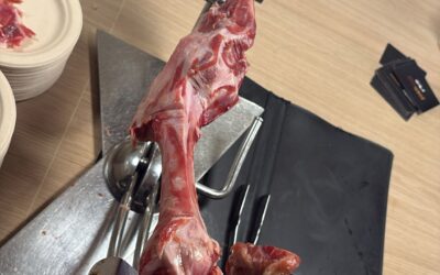 Come conservare un prosciutto parzialmente consumato: una guida per evitare che si secchi